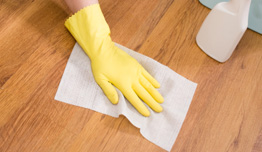 Office Cleaning Services